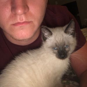 Meet your Posher, Jonathan